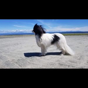 Meet your Posher, Sherry